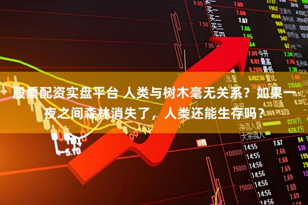 股票配资实盘平台 人类与树木毫无关系？如果一夜之间森林消失了，人类还能生存吗？